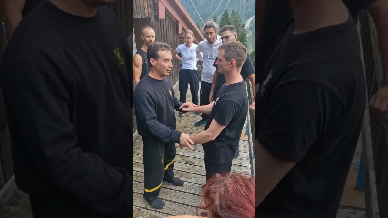 Sifu Martin Dragos, Spiralprinzip