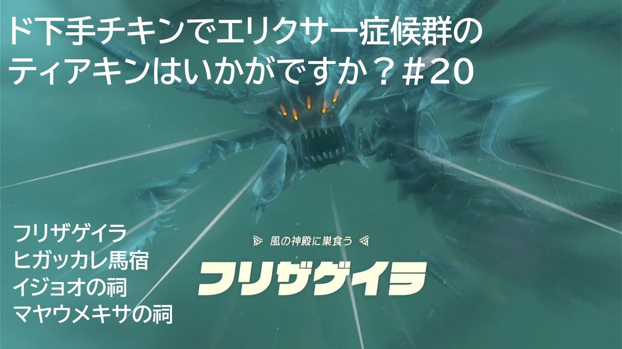 ド下手チキンでエリクサー症候群のティアキンはいかがですか？#20