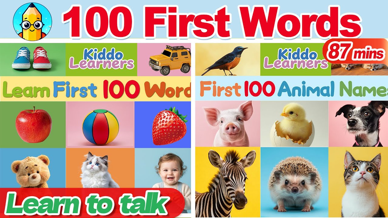 First 100 Words & Animals for Kids 🐶📚 | Ms Rachel Style Animated Read Aloud for Babies & Toddlers