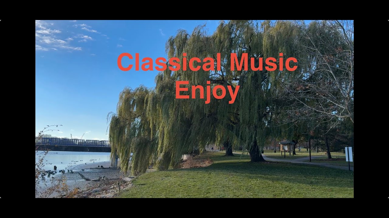 Relaxing Moments - Soothing Classical Music with @titlepro247 and #tobydog