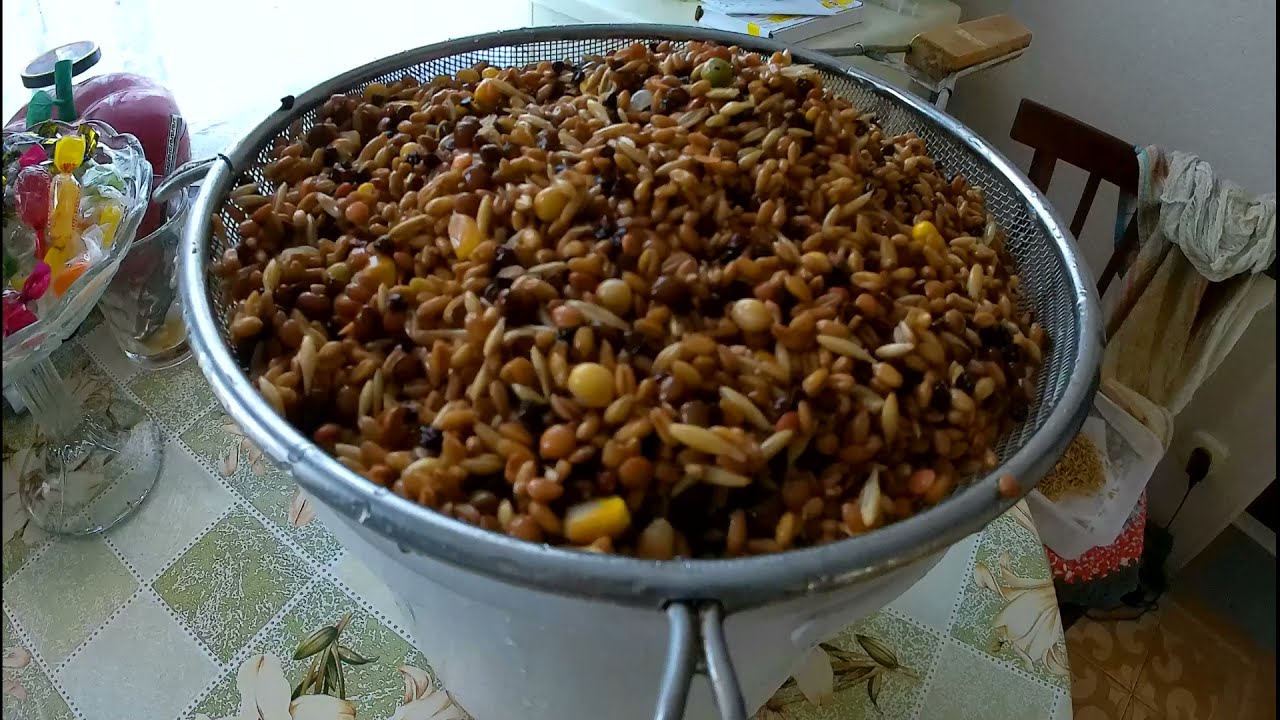 замочка для попугаев и других птиц