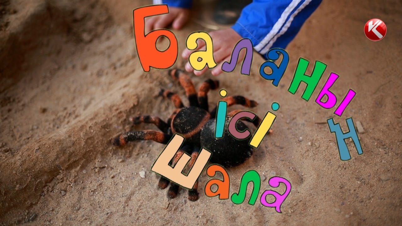 БАЛАНЫҢ ІСІ ШАЛА. АҚМАҚТЫҢ КУЛЫҒЫ ! ! !