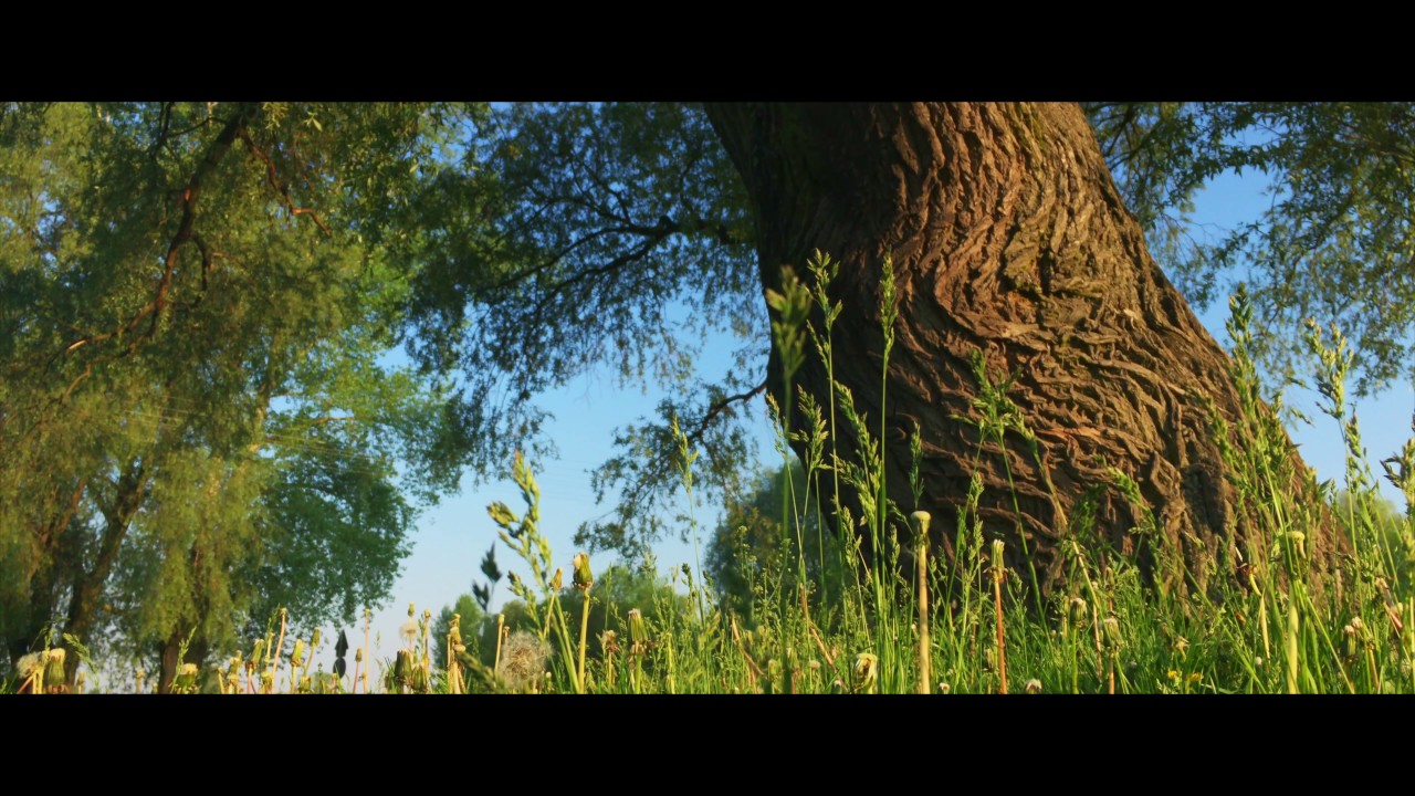 Apple Iphone SE, DJI OsmoMobile and Filmic PRO 4K (100mb/s) cinematic footage - episode 3