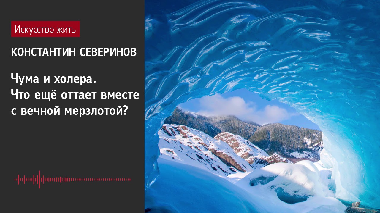 Константин Северинов: Чума и холера. Что ещё оттает вместе с вечной мерзлотой?