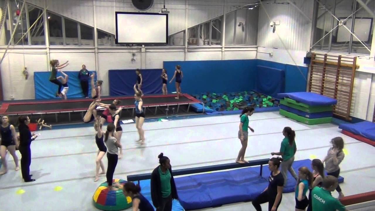Gymnastics for All
