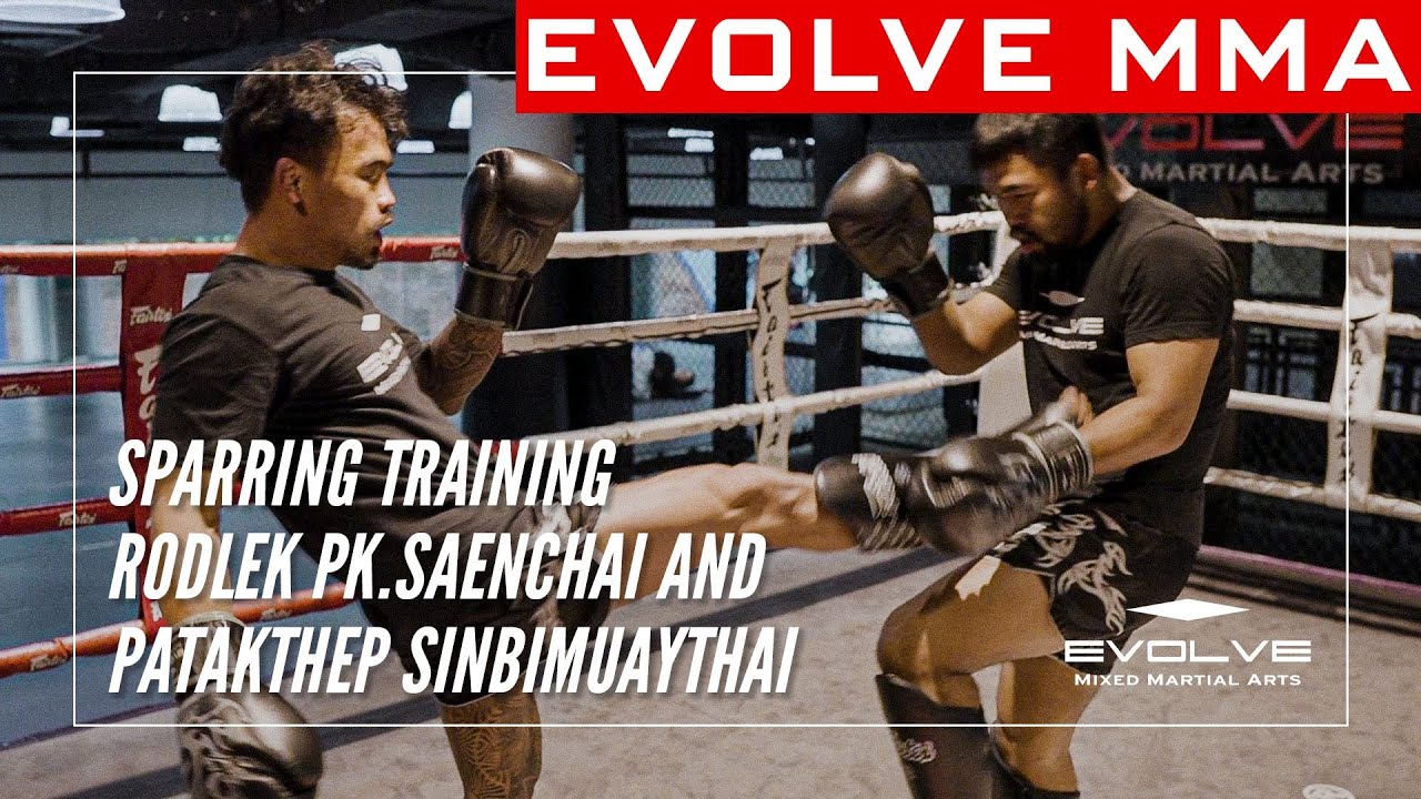 Muay Thai World Champions in the ring. 🔥