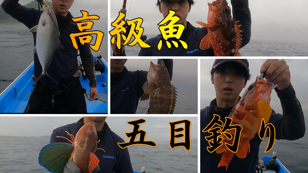 【ロックフィッシュ】大分県佐伯市蒲江【山本真珠】レンタルボート
