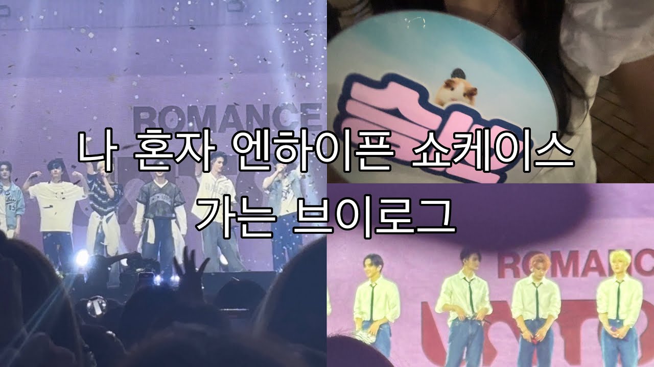 희승 팬 혼자 엔하이픈 쇼케이스 가는 브이로그