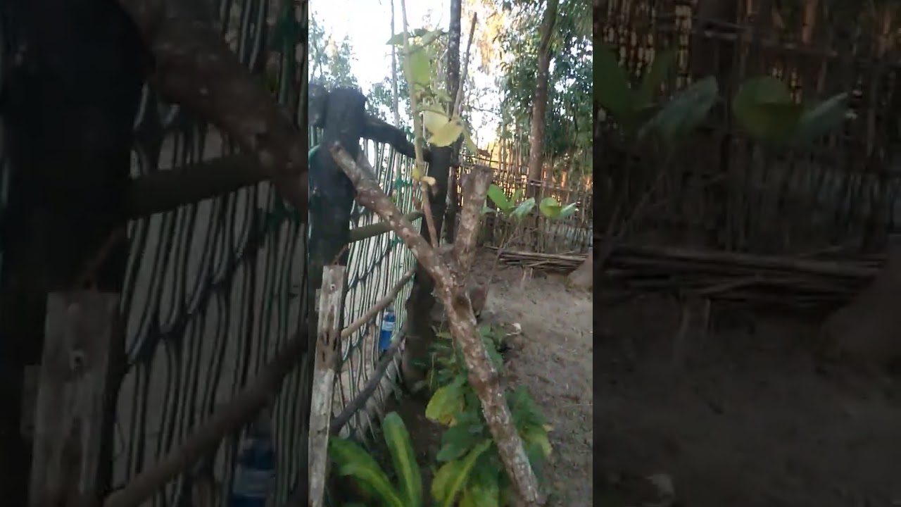 # centro Sapang Bulak D.R.T.# house tour