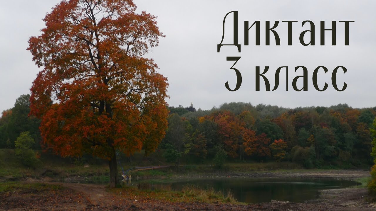 Диктант 3 класс