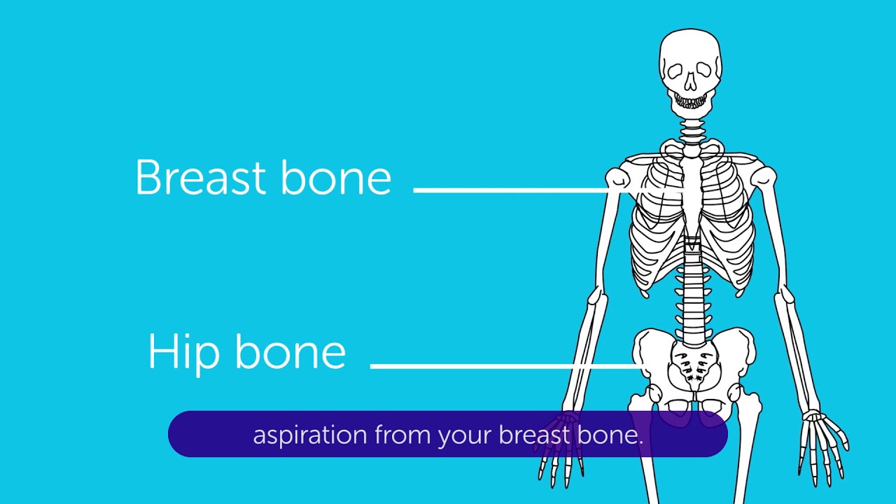 What to expect when you have a Bone Marrow Test | Cancer Research UK