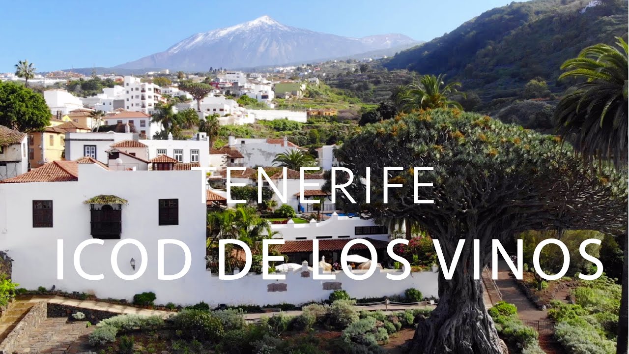 4K  TENERIFE  -  ICOD DE LOS VINOS