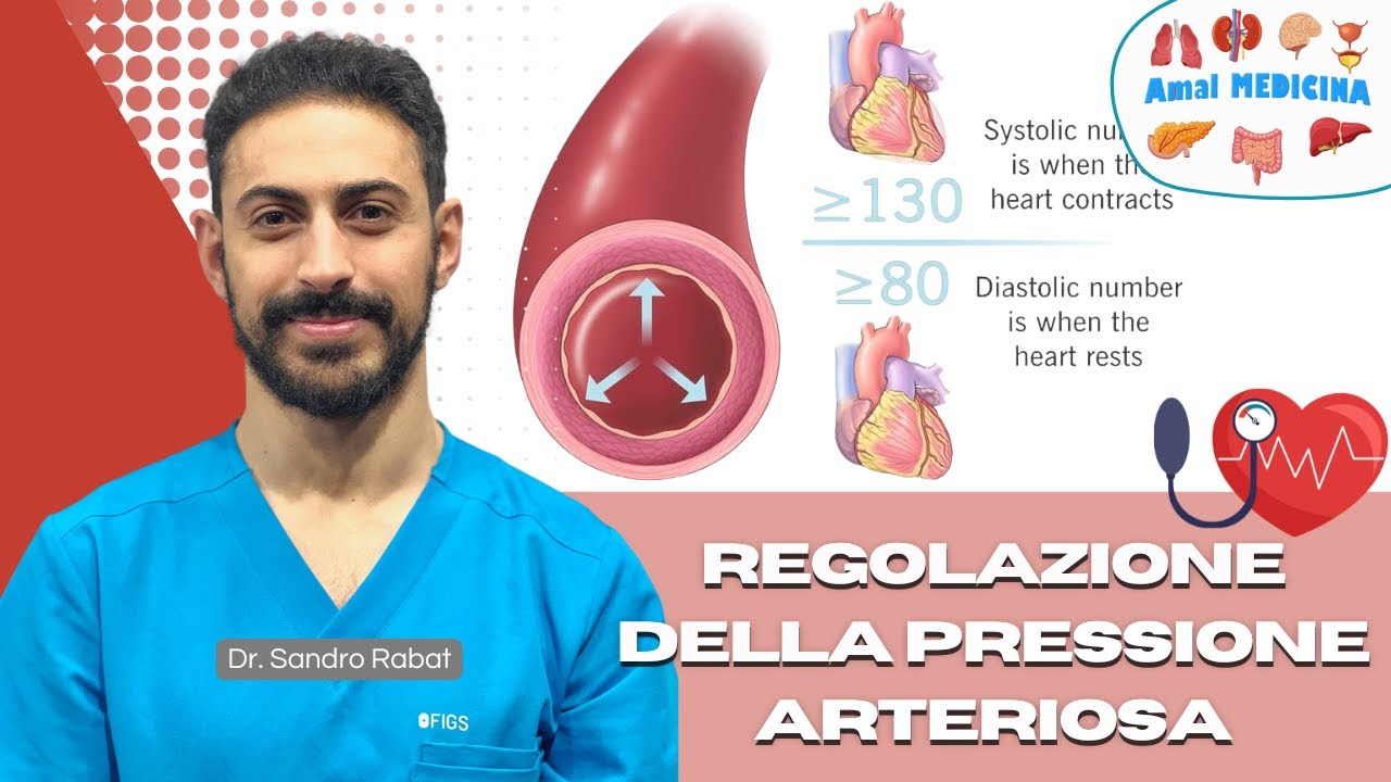 Pressione arteriosa | Fisiologia | Regolazione a breve e lungo termine (Barocettori e sistema RAAS)