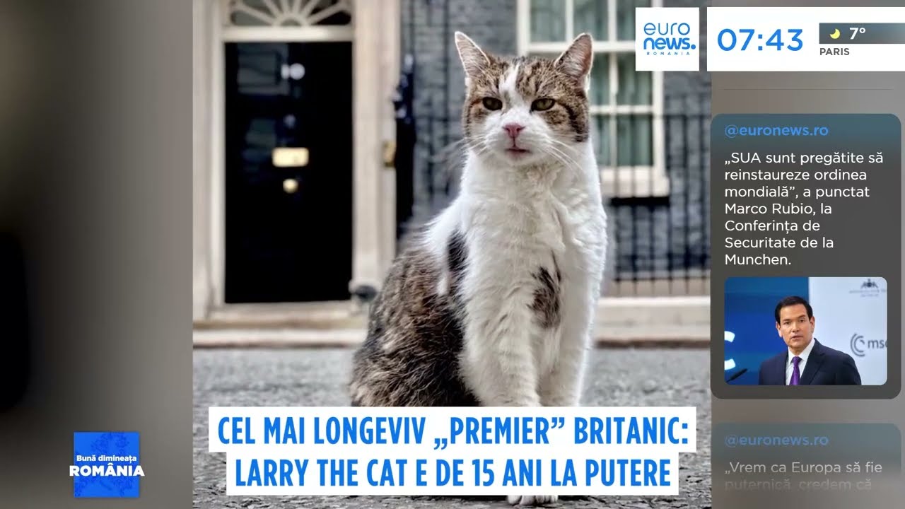 Cel mai longeviv „premier” britanic: Larry The Cat e de 15 ani la putere