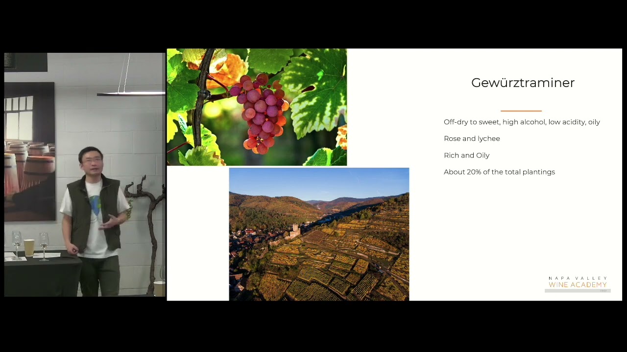 Gew&uuml;rztraminer and Muscat in Alsace- Discover Alsace with Gus Zhu - Napa Valley Wine Academy