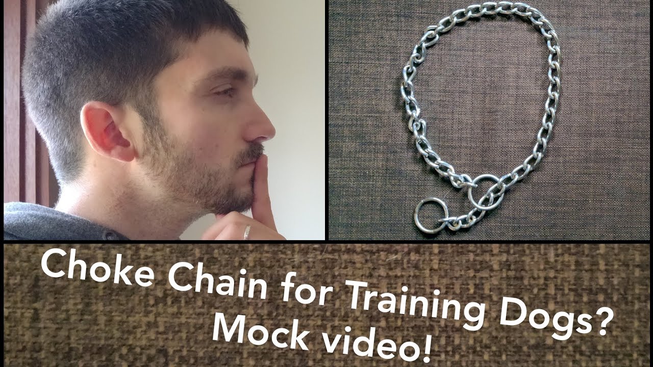 Choke Chain for Training Dogs? Mock Video