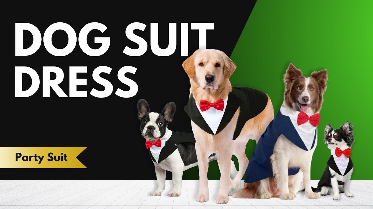Dog Tuxedo Suit