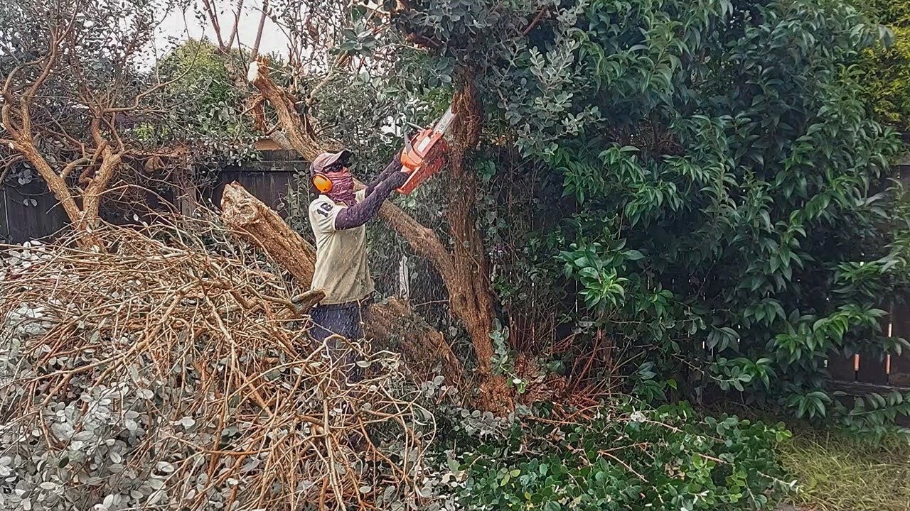 We Removed Everything to Create a NEW GARDEN | Renovation!