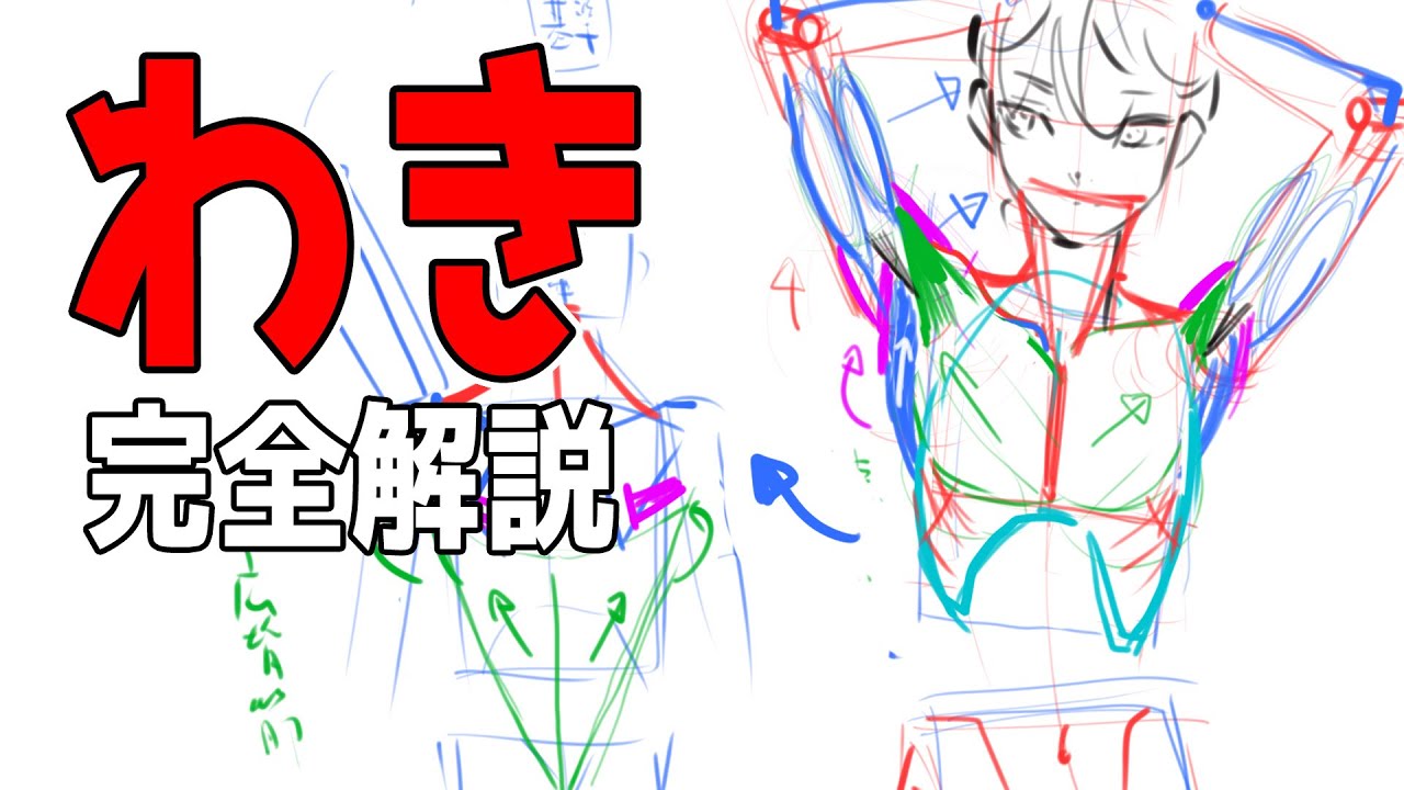 腋の筋肉全部教えます！これだけで大丈夫、肉付けの方法　#368 朝ドロ season2 がんばらなくていい簡単クロッキー練習【初心者歓迎】