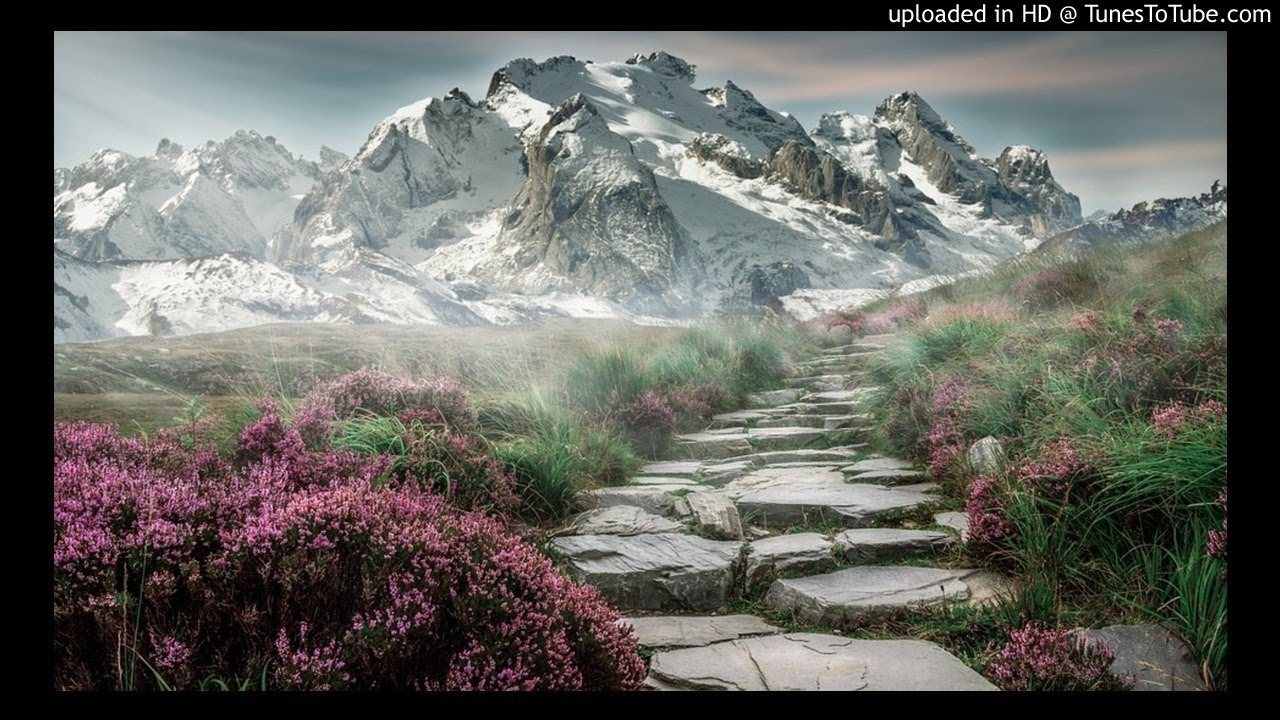 Surah An-Naml - Tafseer 20-26 English