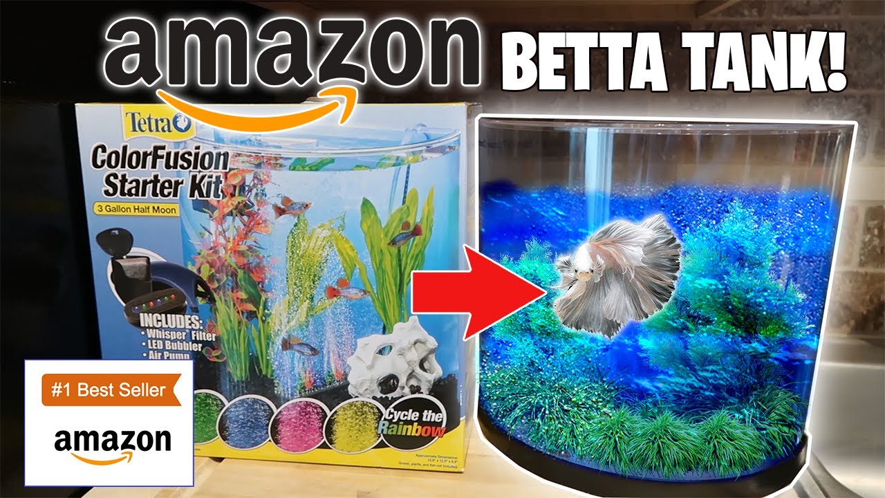 Amazon's BEST Selling Betta Fish Tank