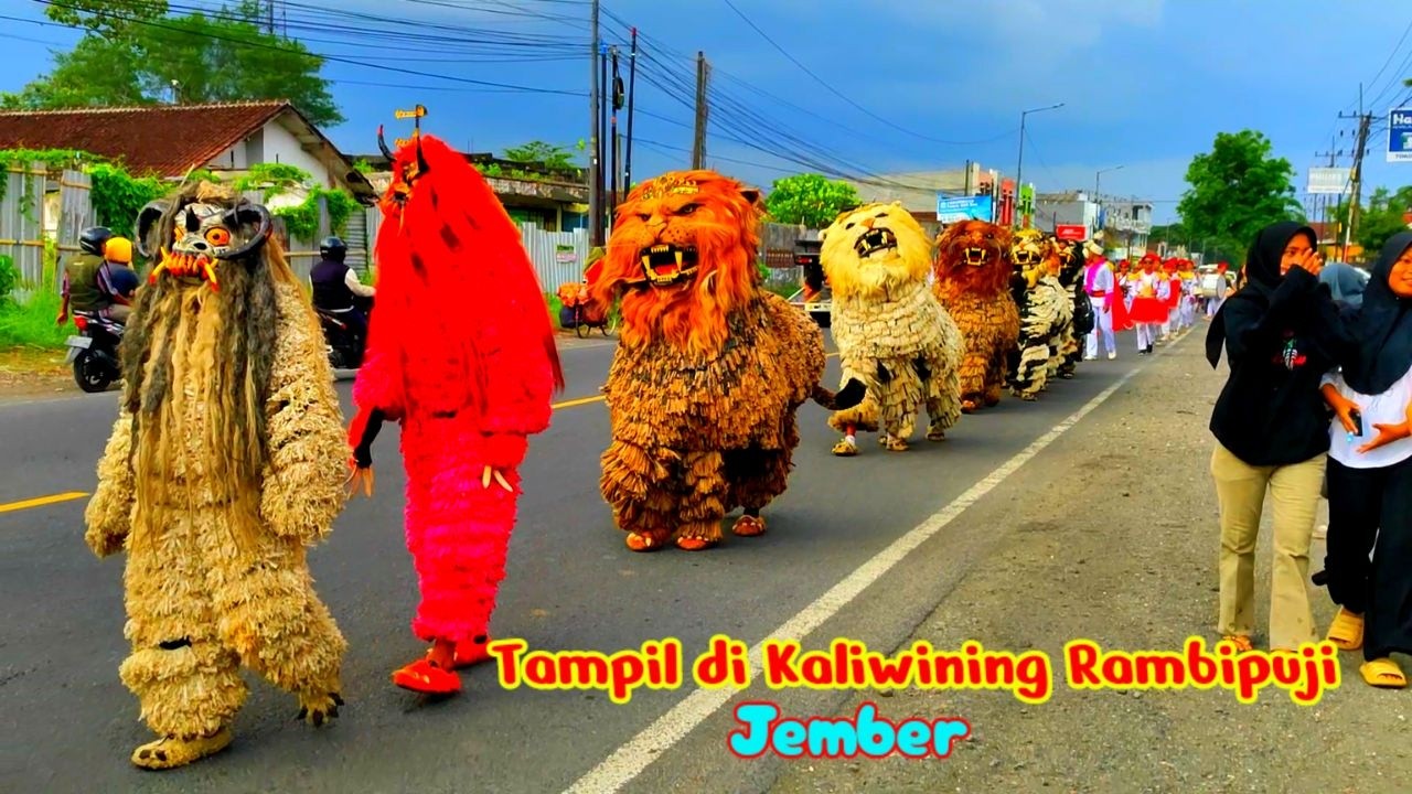 Can macanan singo raung cilik di undang masjid Baitul Muttaqin acara maulid nabi tampil di rambipuji