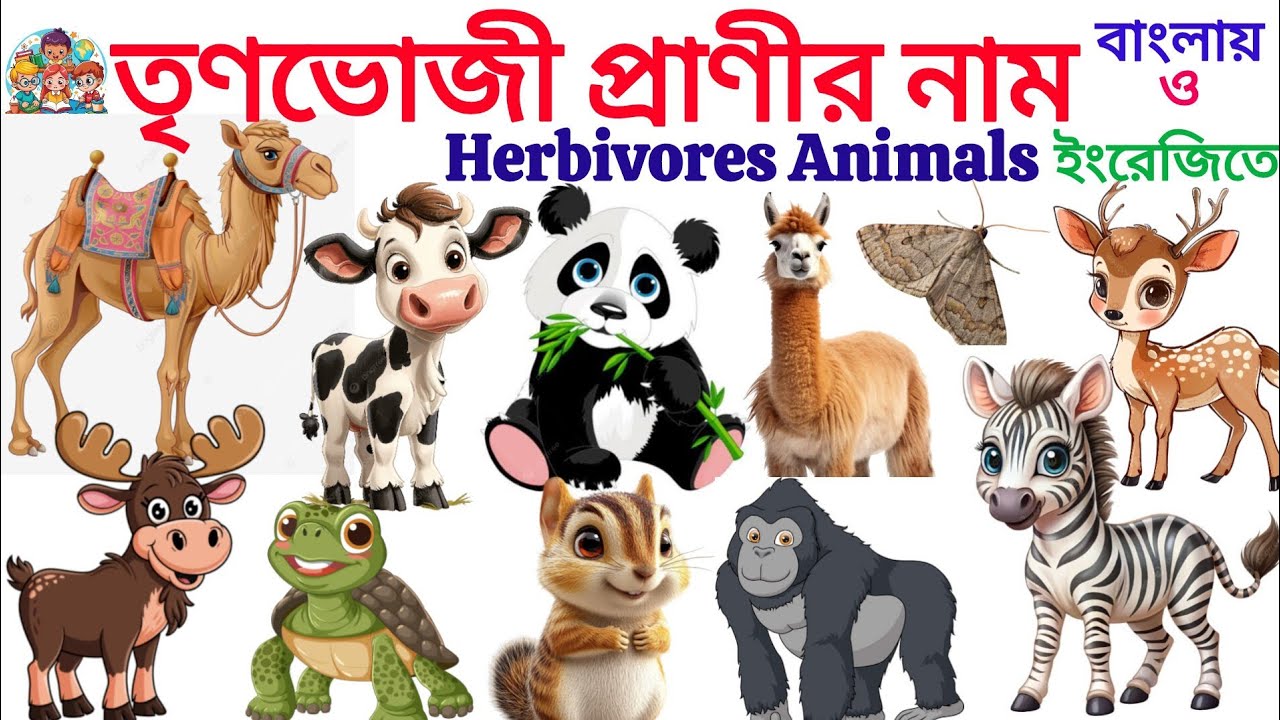 Herbivorous Animals | 20 Herbivorous Animals Name IN English With Picture | Name Of Animals 