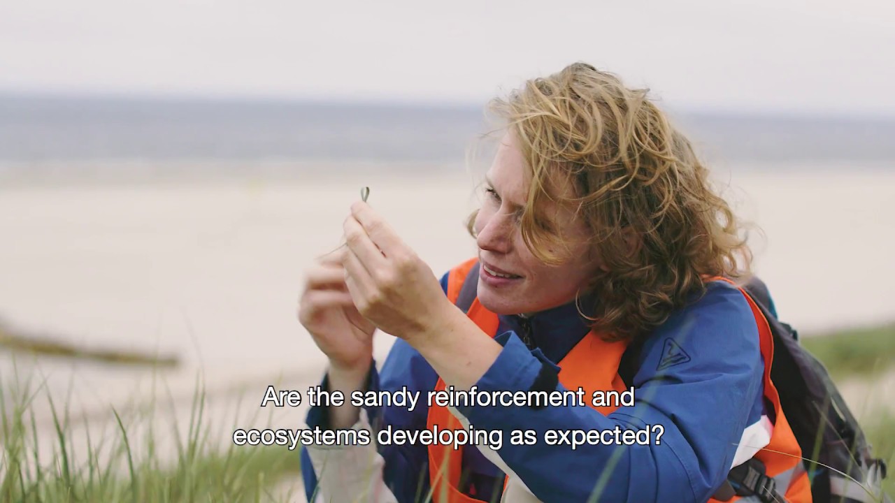 Hondsbossche Dunes - Knowledge development about a sandy reinforcement of the Dutch coast