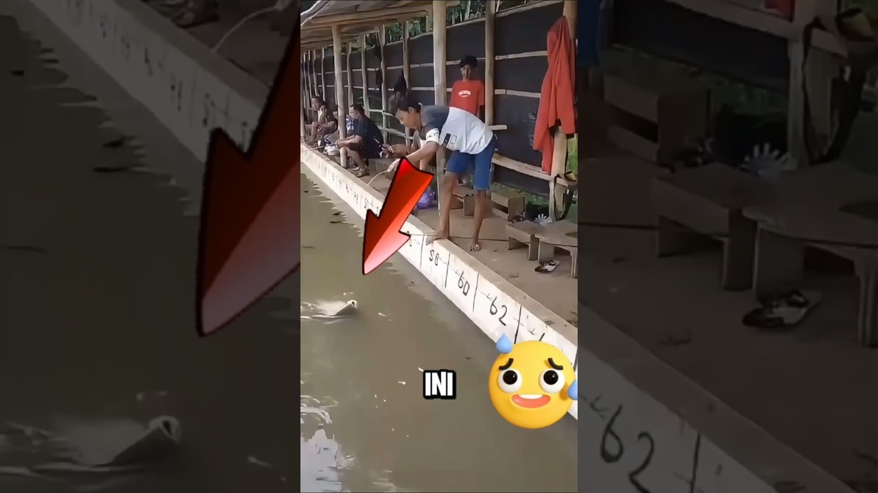 PEMANCING INI DAPAT IKAN BAWAL SUPER BESAR ‼️ #shorts #fishing #mancing
