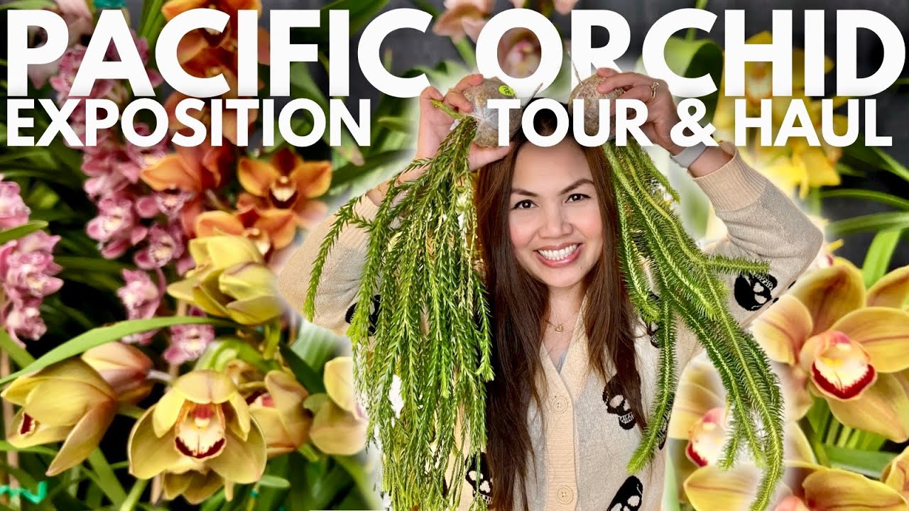Orchid Odyssey: Navigating the 71st Annual Pacific Orchid Exposition | Tour and Plant Haul 🌿