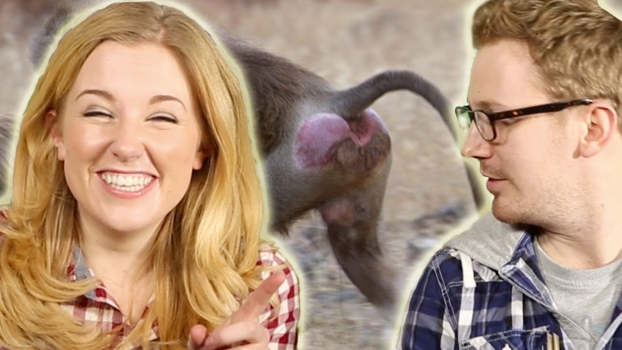 Why Do Pets Lick their Bums? | The Travel Edit