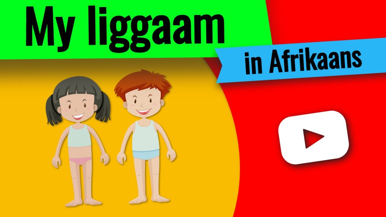 My liggaam - leer liggaamsdele in Afrikaans!