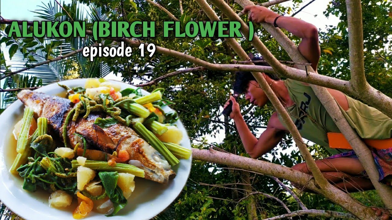 COOKING ALUKON SOUP OUT OF BIRCH FLOWER ( ALUKON ilocano dish) | PROMDI BOY | LIFE IN THE PROVINCE