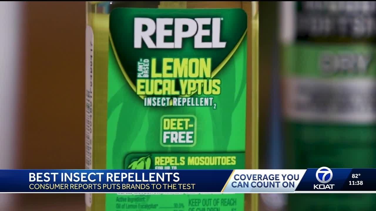 Best insect repellents