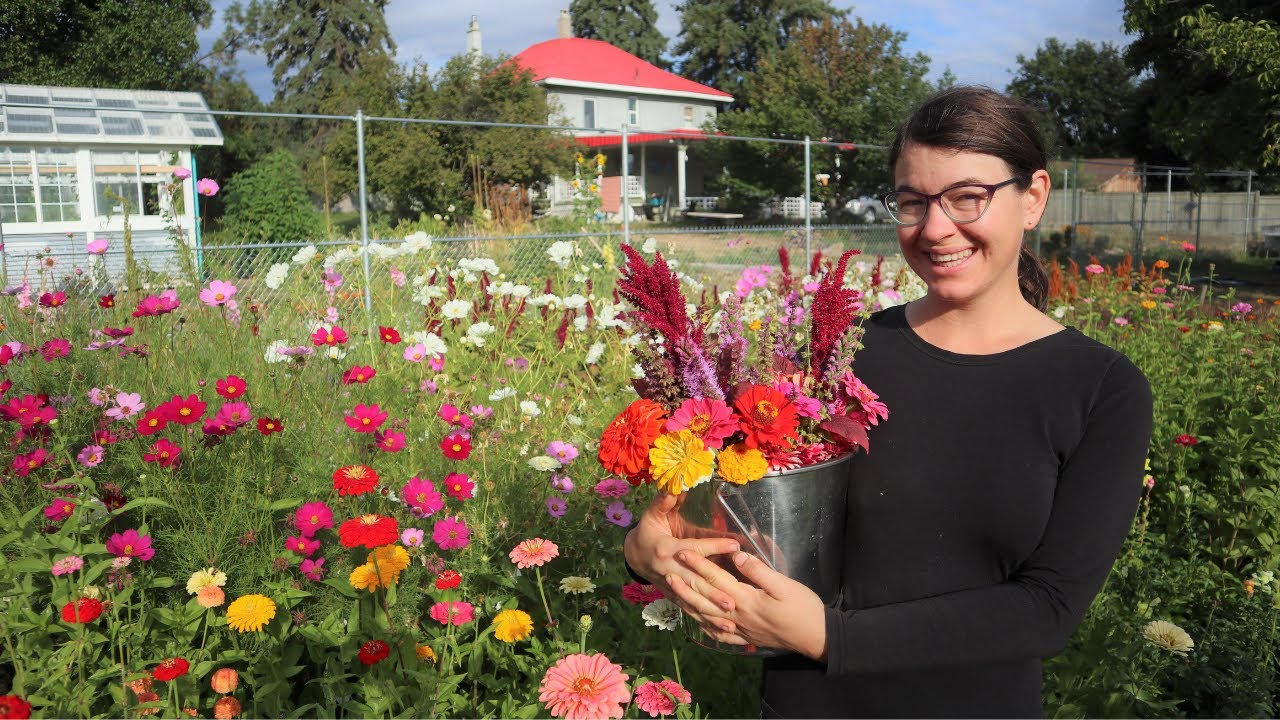 What I Grew on My Flower Farm (Seed List for YOUR Shopping)
