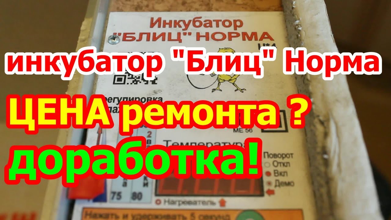 Инкубатор Блиц Норма 72