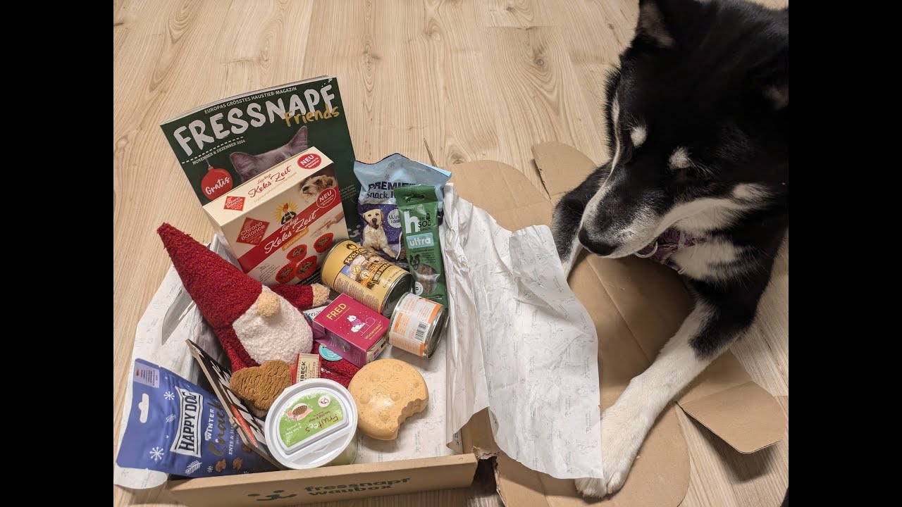 Fressnapf Waubox 🎅🍪 Dezember 2024 💙 | Hundebox Test | 🐺 Husky Goraidh 🐾