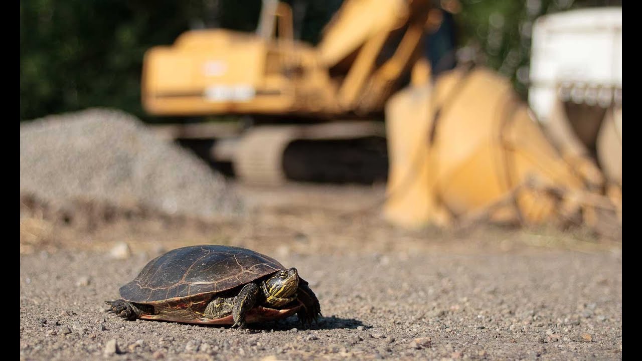 Research Radar: Environmental Innovations