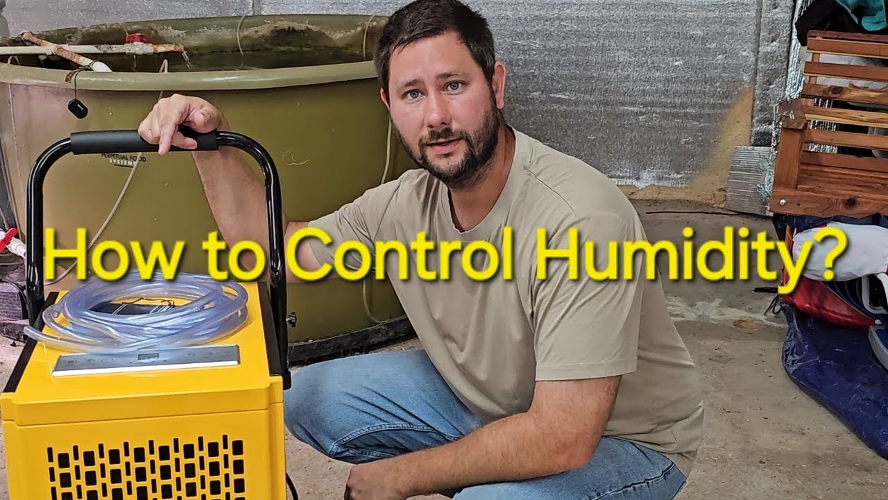 How To Control Humidity In Your Home!