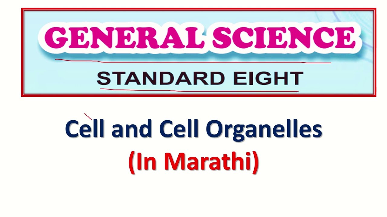 cell and cell organelles