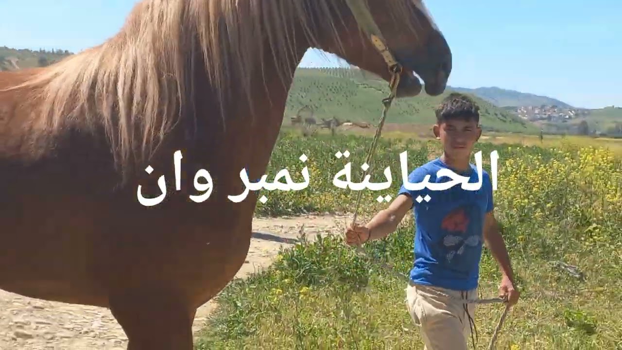 أجي تشوف الثرات والتقاليد الحياينة الخيرات البلادي الحياينة اللهم بارك وزيد في داك