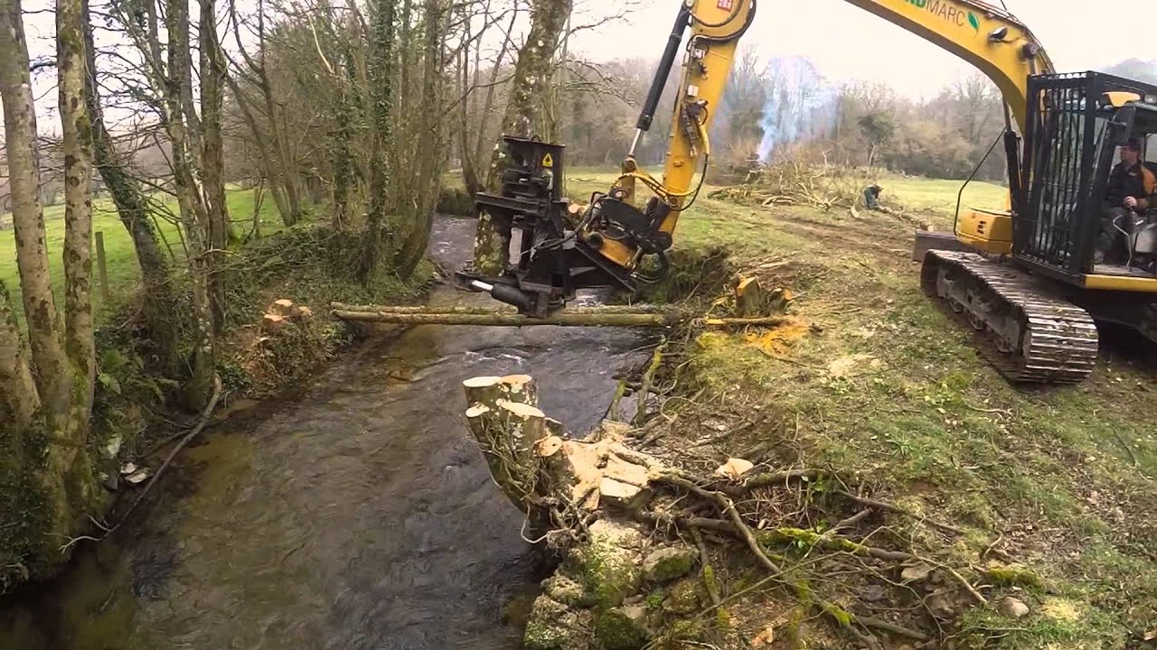 River Yealm fish habitat improvement