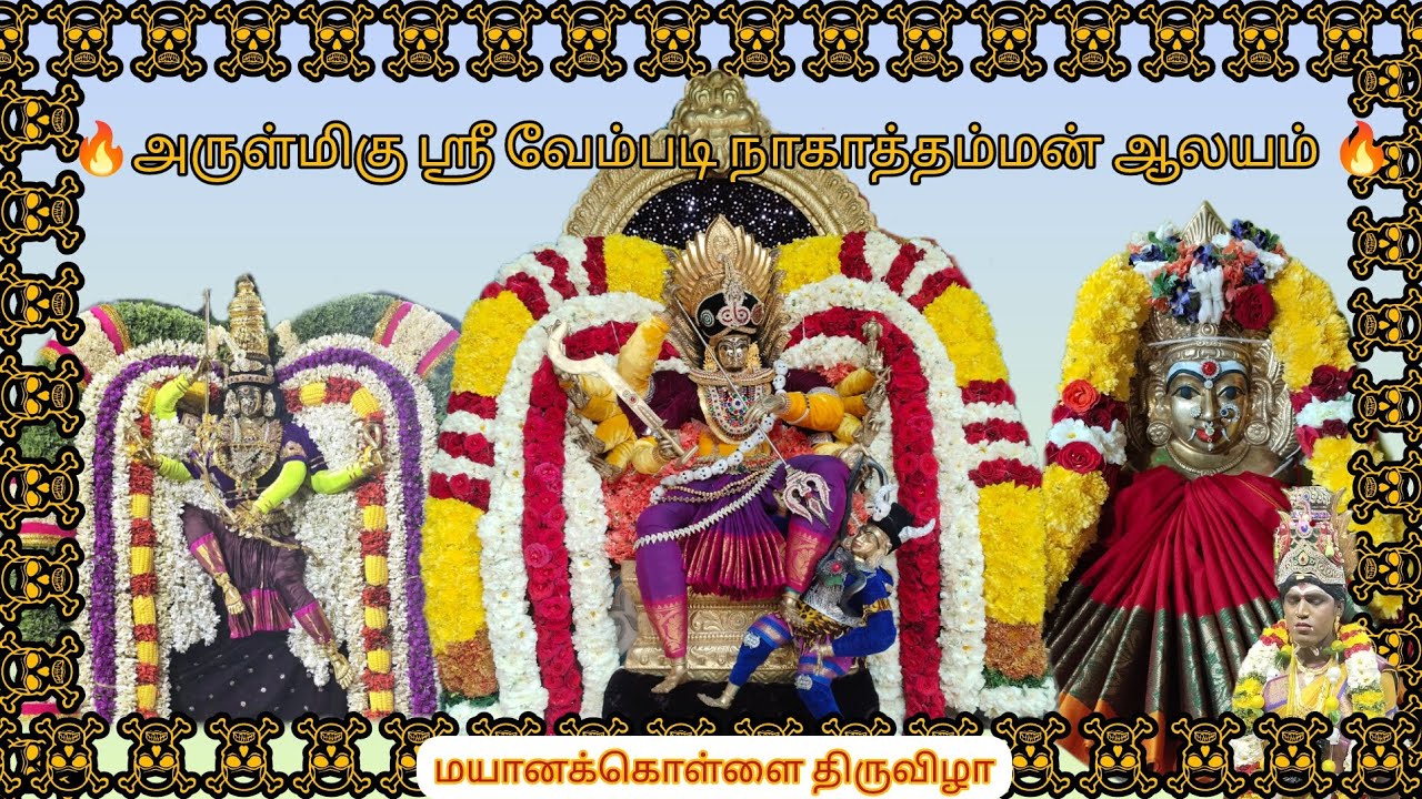 🔥மயானக்கொள்ளை திருவிழா ☠️ 2026💀 #angalamman #adyar #angalammansongs #malayanur #vairalvideo #song 