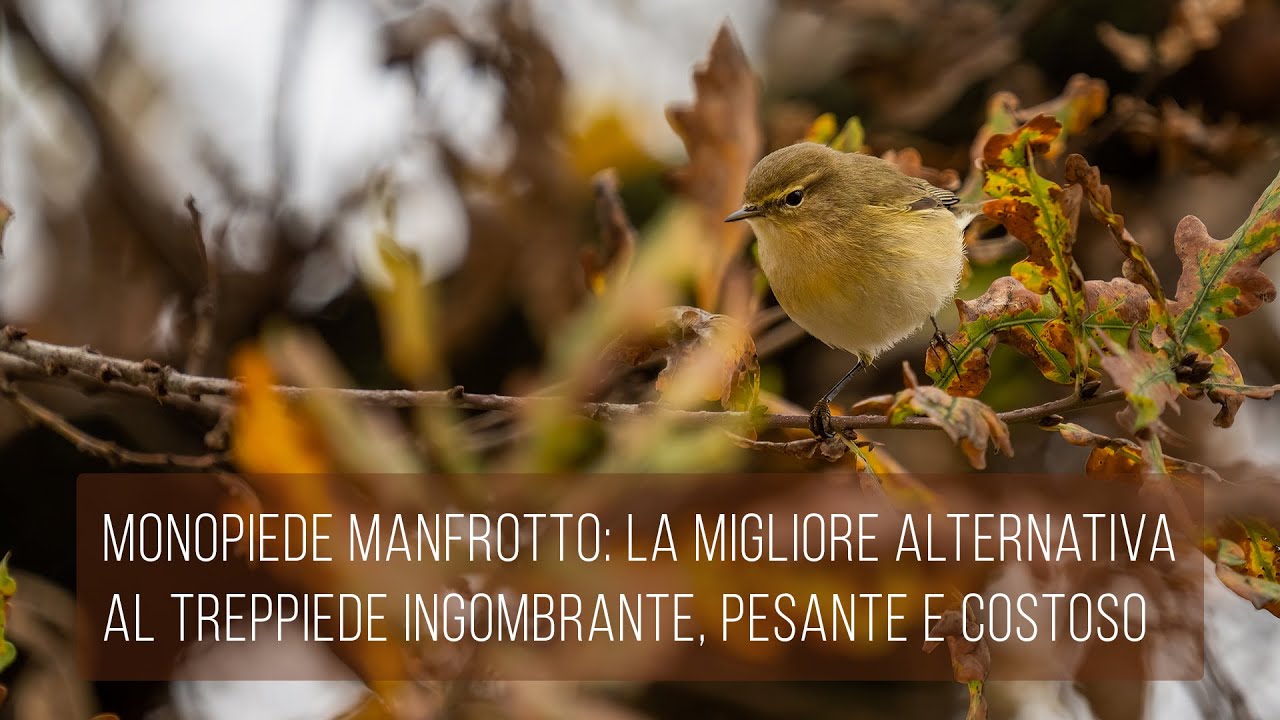 Monopiede Manfrotto: la migliore alternativa al treppiede ingombrante, pesante e costoso