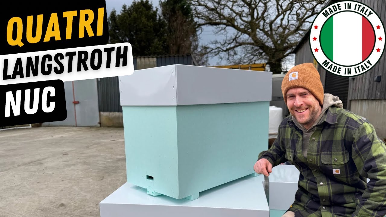 Quatri Langstroth Nuc! New Product For UK Beekeepers!