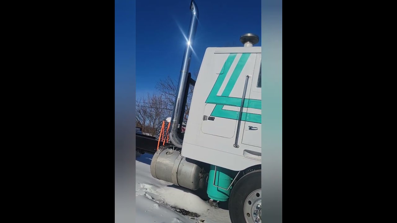 144 1977 352 Пит, покупать или не покупать — вот в чём вопрос.