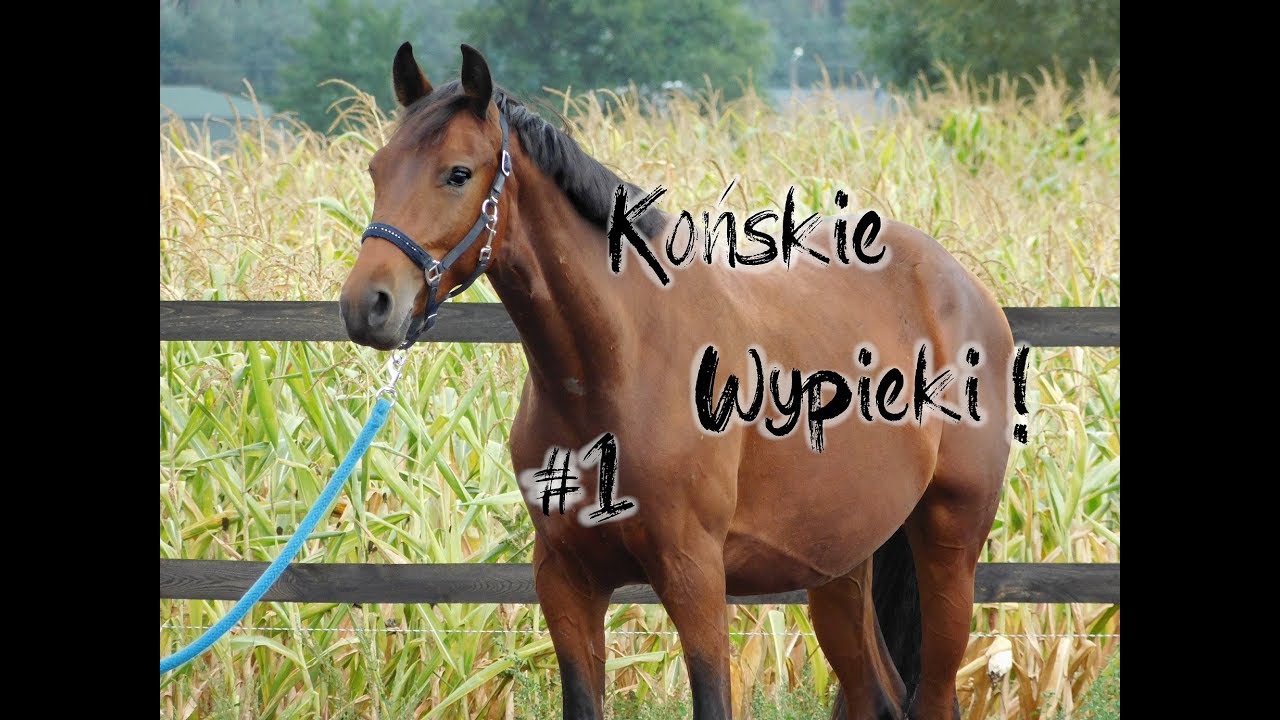 Latino: Końskie Wypieki - Warzywno-OwocoweLove  🍅🍐🥕|#1