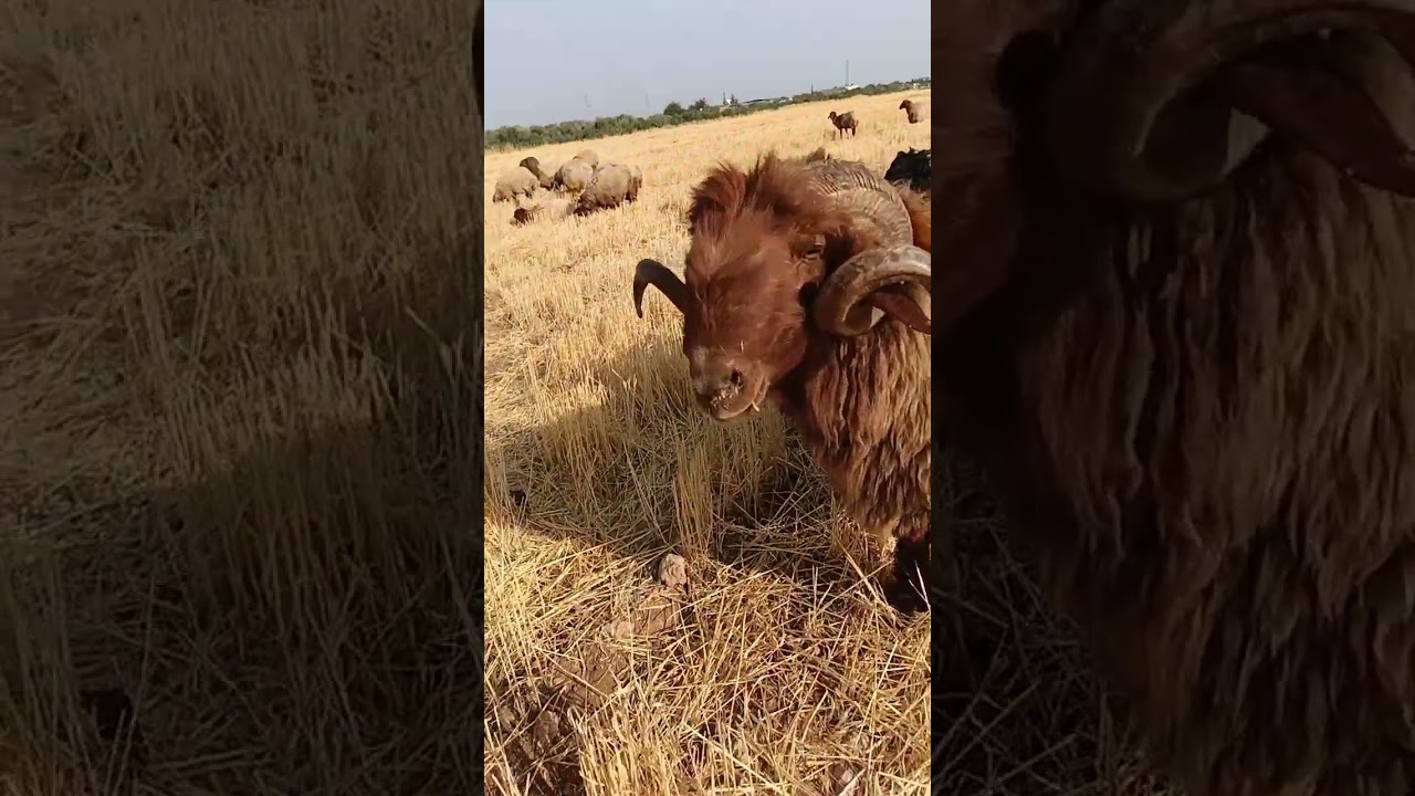 ٣٠ يوليو ٢٠٢٥