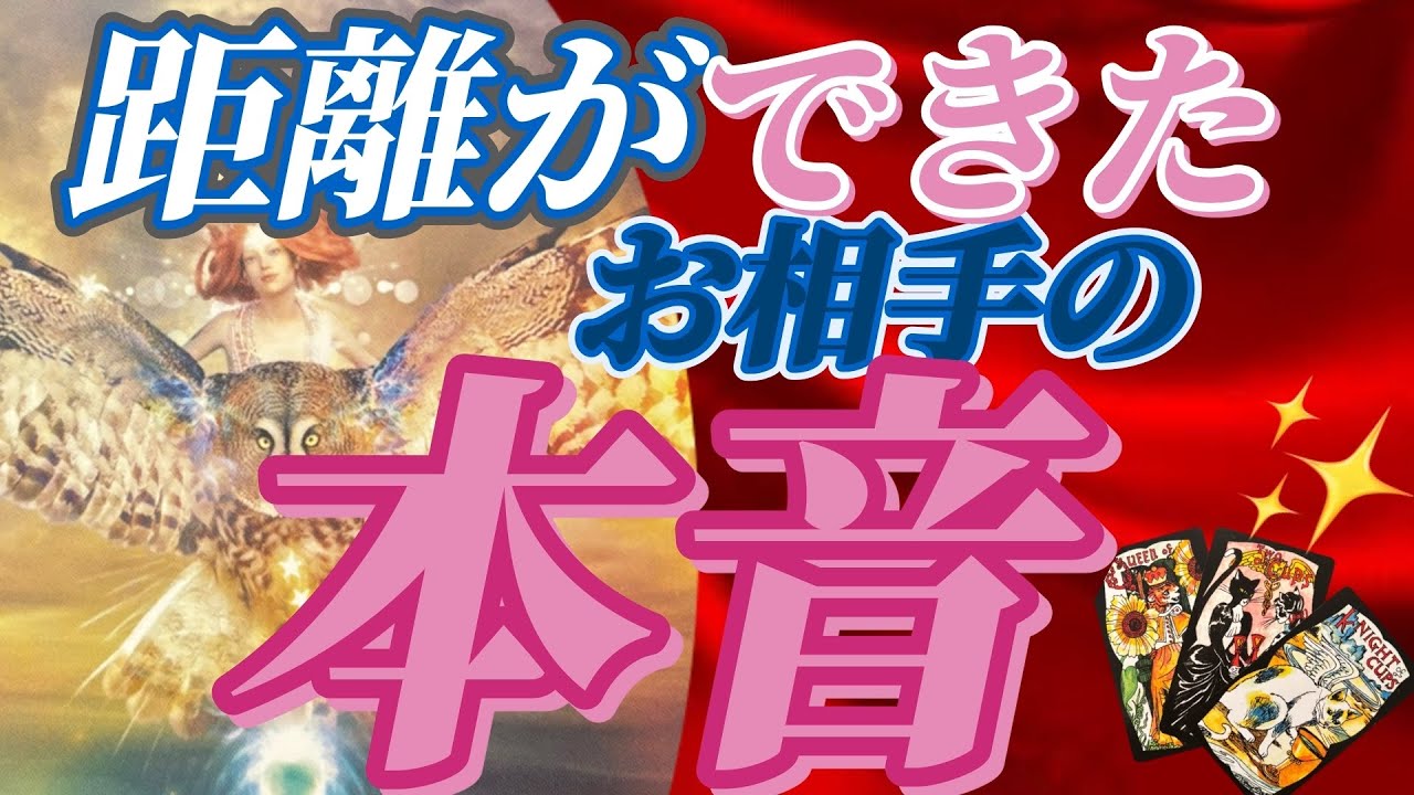 【恋愛、ご夫婦・パートナーシップ間の方へ】距離を感じる、開いてしまったお相手の本音をリーディングしてます😃大興奮で汗ダーダーの選択肢あり！