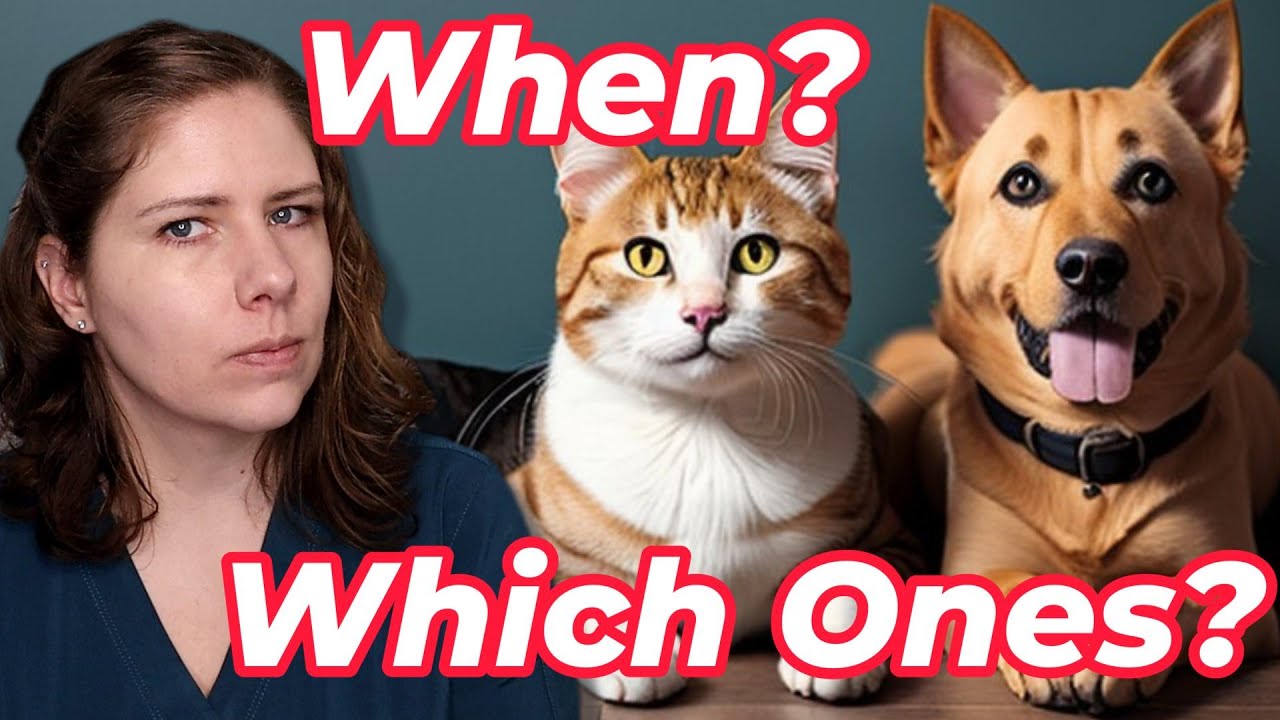 Dog and Cat Vaccination Essentials | Vet's Overview